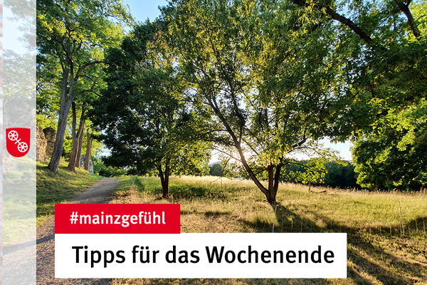 Die Sonne geht an den Römersteinen unter. © Landeshauptstadt Mainz