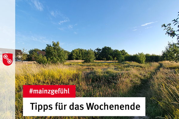 Ein buntes Feld in Bretzenheim. © Landeshauptstadt Mainz