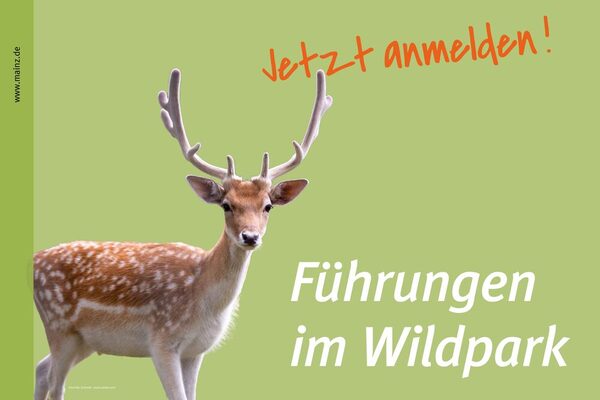 Damwild auf dem Titelbild © Landeshauptstadt Mainz, AdobeStock Dominik Schmidt