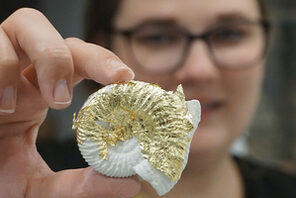 Ein Fossil des Naturhistorischen Museums © Landeshauptstadt Mainz