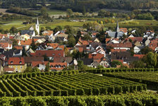 Bildergalerie GWC Rheinhessischer Weinort Dienheim Rheinhessischer Weinort mitten in den Reben: Dienheim.