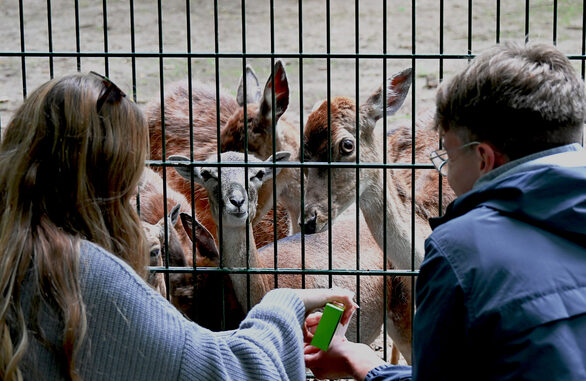 Besucher des Wildparks Gonsenheim