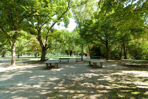 Der Volkspark bietet mit großen, schattigen Bäumen Platz zum Entspannen © Carsten Costard