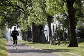 Rechtsrheinisches Rheinufer © Landeshauptstadt Mainz