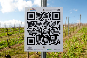 QR-Code in einem Weinberg © Weingut Eppelmann