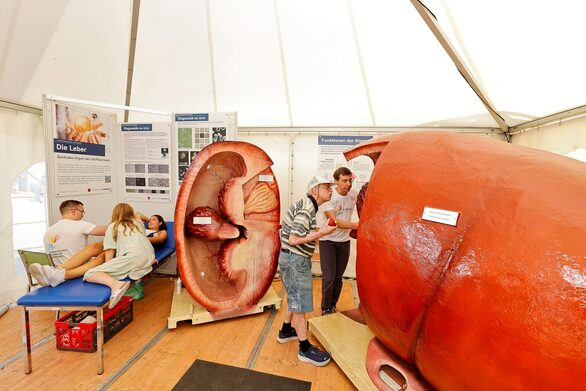 Mainzer Wissenschaftsmarkt