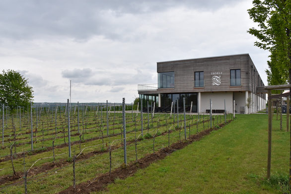 Das Weingutsgebäude in Saulheim von außen.