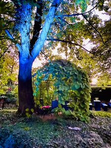 Der Garten farblich in Szene gesetzt