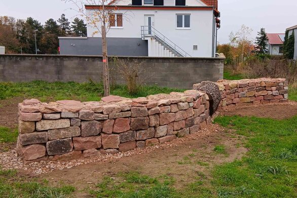 Zahlreiche wertvolle Habitat-Strukturen wie Insektennisthilfen, Trockenmauern und Altholzstämme zur Aufwertung der Biodiversität wurden in den Parks und Grünanlagen geschaffen.